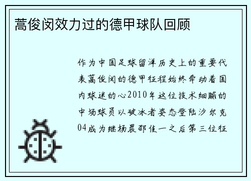 蒿俊闵效力过的德甲球队回顾